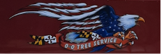 O&O tree service logo Full Color